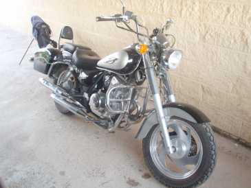 Foto: Verkauft Motorrad 125 cc - JINLUN 125 CRUISER - JINLUN 125 CRUISER