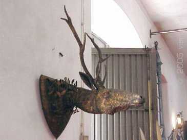 Foto: Verkauft Skulpture CABECA DE VENADO DE HIERRO UNICA - Zeitgenössisch