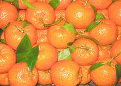 Foto: Verkauft Obst und Gemüse Klementine