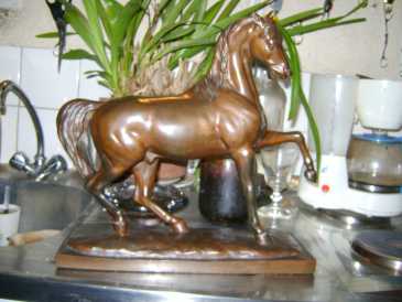 Foto: Verkauft 2 Statuen Bronze - CHEVAL BRONZE - XIX. Jahrhundert