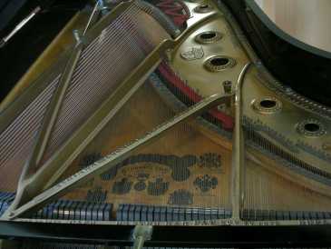 Foto: Verkauft Schwanzklavier STEINWAY & SONS - PIANOFORTE A CODA STEINWAY & SONS MOD C