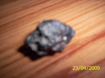Foto: Verkauft Muscheln, Fossilie und Stein ESTRELLA FUGAZ