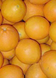 Foto: Verkauft Obst und Gemüse Orange