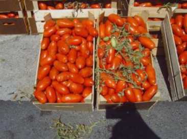 Foto: Verkauft Obst und Gemüse Tomate
