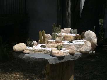 Foto: Verkauft Muscheln, Fossilie und Stein JARDIN EXOTIQUE ARIDE MEXICAIN DE SALON.PIECE UNIQ