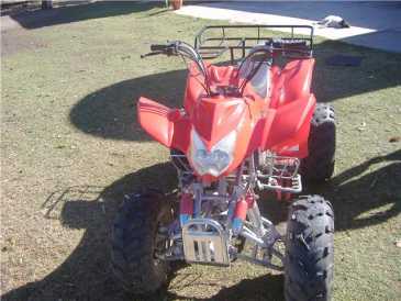 Foto: Verkauft Mopeds, Minibik 200 cc - WARRIOS - 200CCC