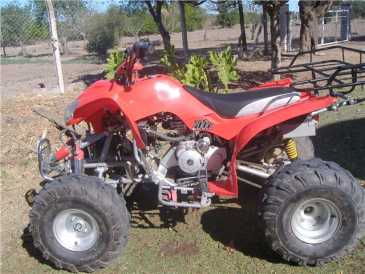 Foto: Verkauft Mopeds, Minibik 200 cc - WARRIOS - 200CCC