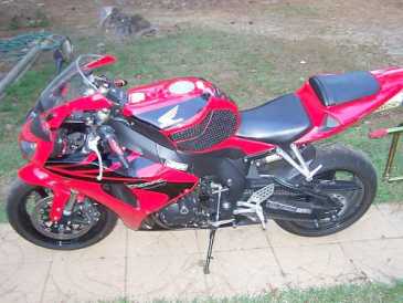 Foto: Verkauft Motorrad 900 cc - HONDA - CBR RR FIRE BLADE