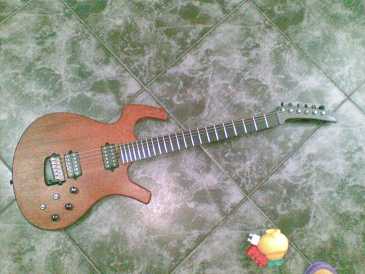 Foto: Verkauft Gitarre PARKER