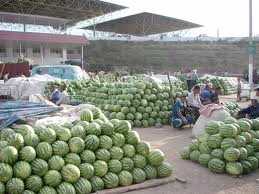 Foto: Verkauft Obst und Gemüse Wassermelone