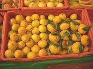 Foto: Verkauft Obst und Gemü Tangerine