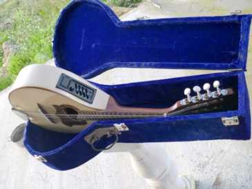 Foto: Verkauft Gitarre und Streichinstrument LIUTERIA ARTIGIANALE - MANDOLINO STILE PORTOGHESE