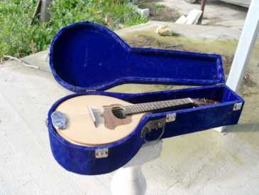 Foto: Verkauft Gitarre und Streichinstrument LIUTERIA ARTIGIANALE - MANDOLINO STILE PORTOGHESE