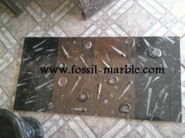 Foto: Verkauft Dekoratio BLACK SLAB FOSSILIZED MARBLE MOROCCO - BLACK FOSSILIZED MARBLE MOROCCO