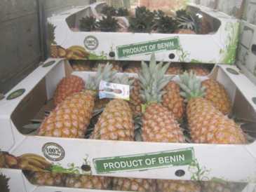 Foto: Verkauft Obst und Gemüse Ananas