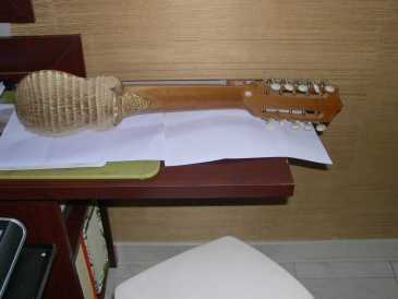 Foto: Verkauft Gitarre und Streichinstrument ARTISAN WORK - 10 STRING MANDOLIN