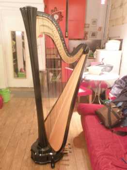 Foto: Verkauft Musikinstrument HARPE AURORA SALVI - SALVI