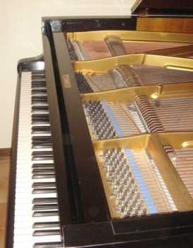 Foto: Verkauft Musikinstrument BLUTHNER - PIANOFORTE A MEZZA CODA