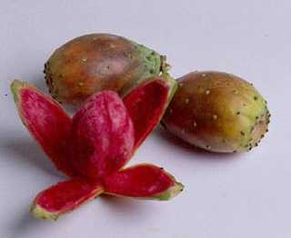 Foto: Verkauft Obst und Gemüs Stachelige Birne