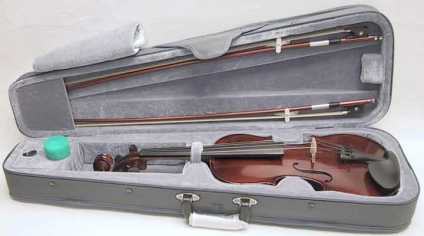 Foto: Verkauft Geige SKY