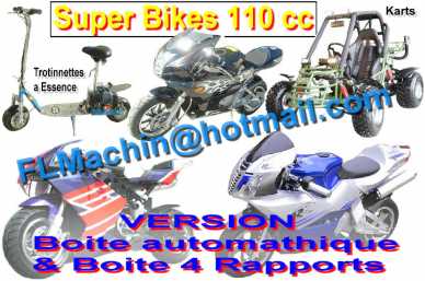 Foto: Verkauft Mopeds, Minibikes 110 cc - LEN