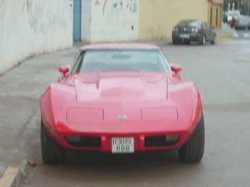 Foto: Verkauft Ansammlung Auto CHEVROLET - Corvette