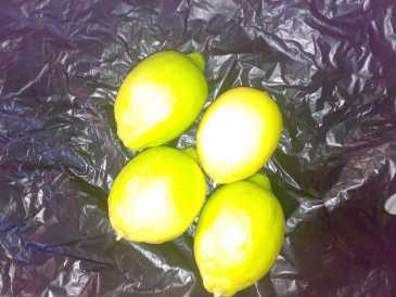 Foto: Verkauft Obst und Gemüse Zitrone