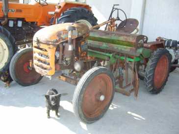 Foto: Verkauft Landwirtschaftlich Fahrzeug BODINI - IRIS CENTOMESTIERI