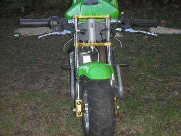 Foto: Verkauft Motorrad 50 cc - POCKETBIKE - POCKETBIKE