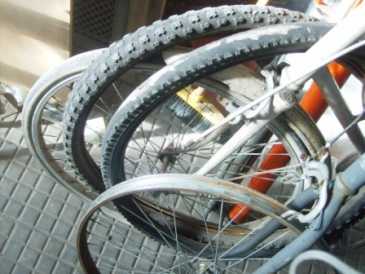 Foto: Verkauft Fahrräder BIANCHI - BIANCHI