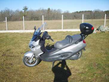 Foto: Verkauft Motorroller 500 cc - PIAGGIO - PIAGGIO X9 500