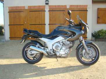 Foto: Verkauft Motorrad 850 cc - YAMAHA - TDM