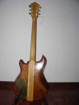 Foto: Verkauft Gitarre IBANEZ - IBANEZ MUSICIAN